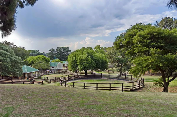 Blick auf Feld mit Rinderstall im Zoo Johannesburg — Stockfoto
