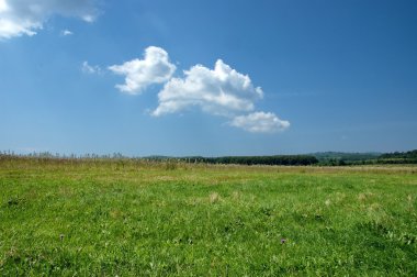 yeşil alan ve mavi gökyüzü arka plan