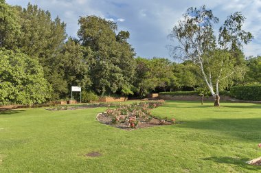 emmarentia Park'taki gül parçası