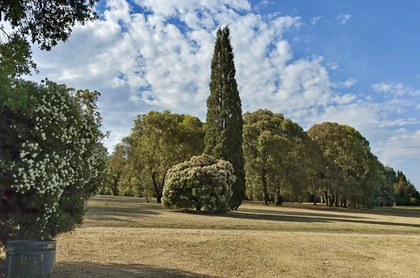 Hermoso paisaje del parque Emmarentia —  Fotos de Stock