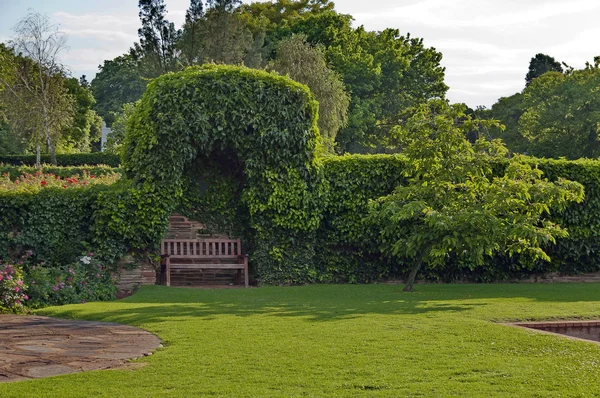 Romantic nook with wood bench and hedge — Stock Photo, Image