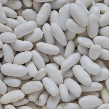 Beyaz kuru fasulye arka plan