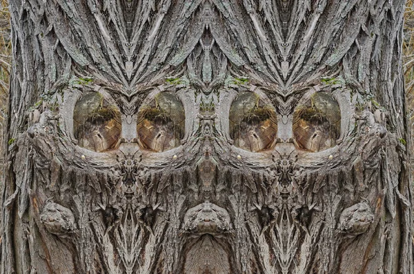 Symmetrische Figur aus alter Baumrinde — Stockfoto