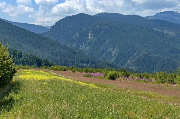 Superbe vue panoramique sur la montagne. Montagne Rila — Photo