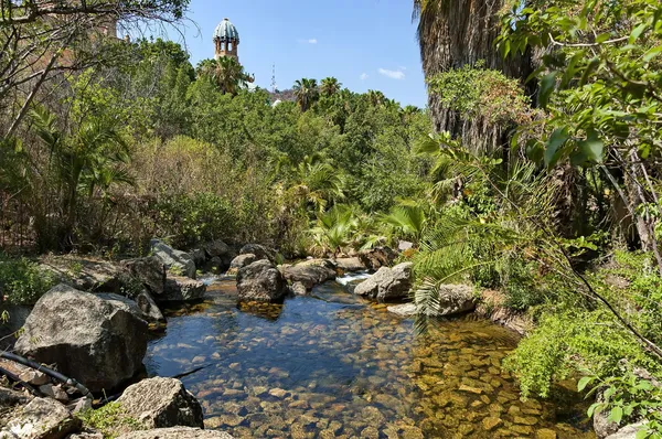 Exotické tropické zahradě s palmami v sun city — Stock fotografie