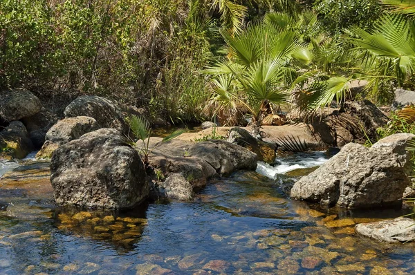 Εξωτικό τροπικό κήπο με φοίνικες στο sun city — Φωτογραφία Αρχείου