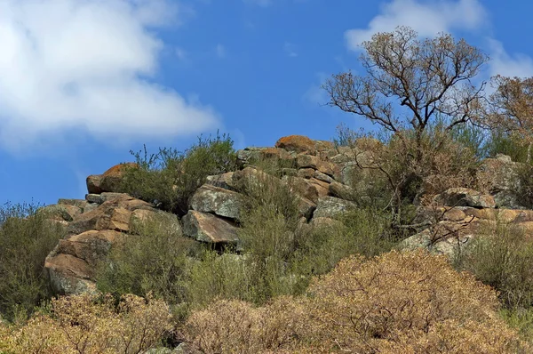 Parco nazionale di Pilanesberg — Foto Stock