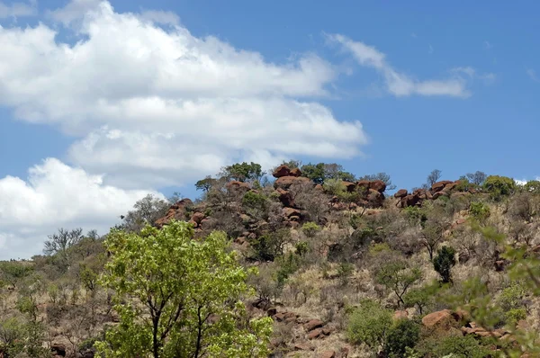 Parque Nacional Pilanesberg — Foto de Stock