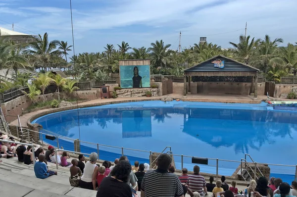 ushaka havuzu kulelerini favori yunuslar görünüm