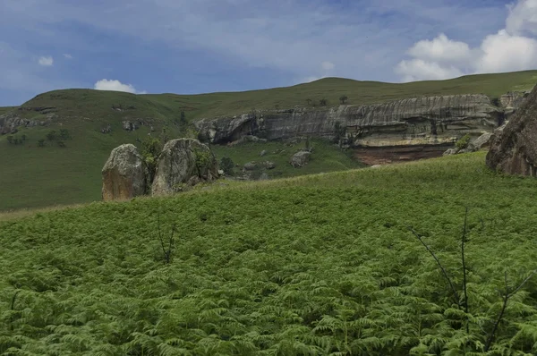 Giants Castle KwaZulu-Natal nature reserve — Stock Photo, Image