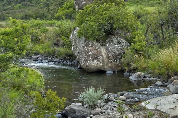 Berg rivier in natuurreservaat Giants Castle Kwazulu-Natal — Stockfoto