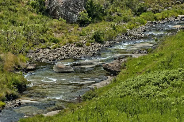 River and rocks in Giants Castle KwaZulu-Natal nature reserve — Stock Photo, Image