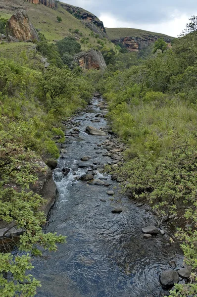 O rio Bushmans no Castelo dos Gigantes — Fotografia de Stock