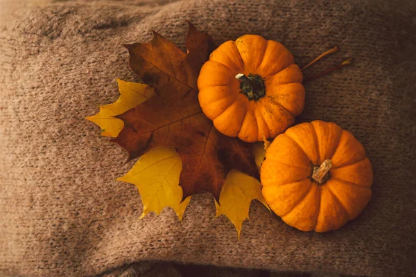 Swetry i dwie dynie z jesiennymi liśćmi. Martwa natura we wnętrzu domu. Przytulna jesień — Zdjęcie stockowe