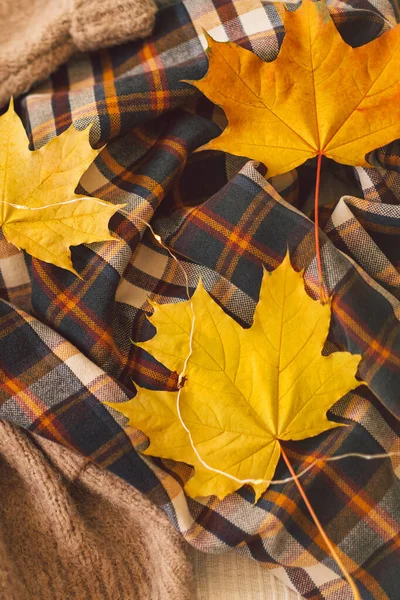 Background with warm sweaters. Knitted clothes with yellow autumn leaves, warm background.