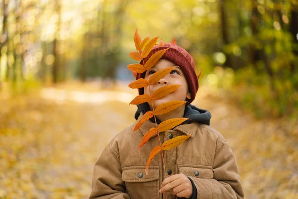 Gelukkige kleine jongen die lacht en speelt in de herfstdag. Kind bedekt haar gezicht met bladeren — Stockfoto