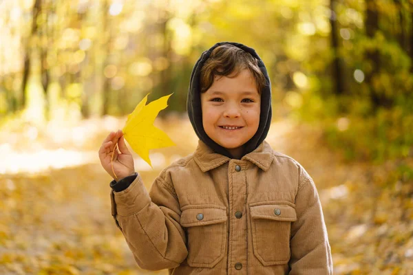 Gelukkige kleine jongen die lacht en speelt in de herfstdag. Kind spelen met bladeren — Stockfoto