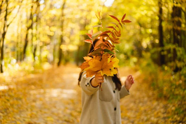 Woman in a long shirt with a bouquet of autumn leaves in her hands walks through the autumn forest. — Stock Photo, Image