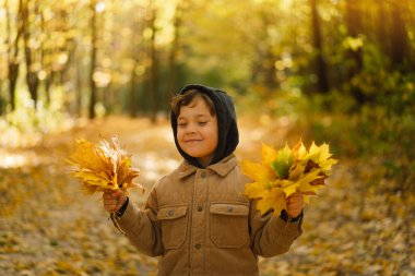 Küçük mutlu çocuk sonbahar günü gülüyor ve oynuyor. Çocuk yapraklarla oynuyor