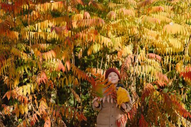 Küçük mutlu çocuk sonbahar günü gülüyor ve oynuyor. Çocuk yapraklarla oynuyor