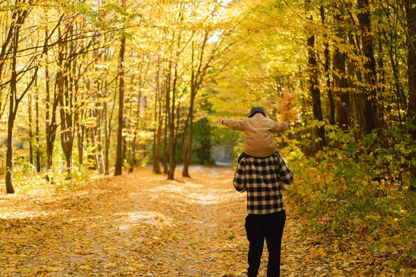 Pai e filho felizes estão andando na floresta de outono. Atividade ao ar livre de outono para a família com crianças. — Fotografia de Stock