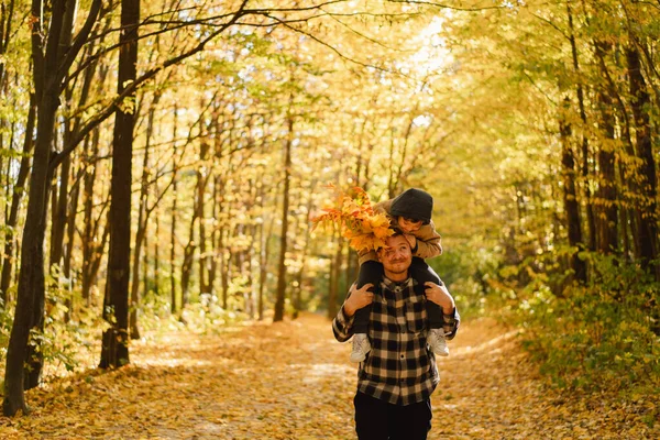 Papá y su hijo felices están caminando en el bosque de otoño. Otoño actividad al aire libre para la familia con niños. — Foto de Stock