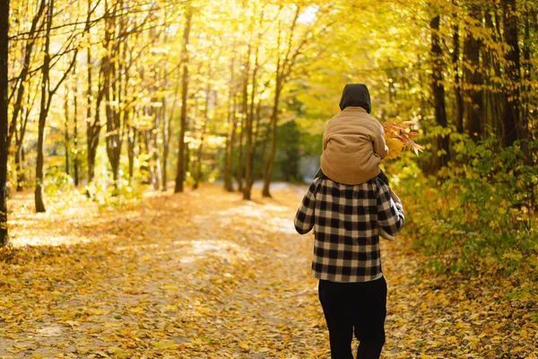 Ayah dan anak yang bahagia berjalan di hutan musim gugur. Autumn kegiatan luar ruangan untuk keluarga dengan anak-anak. — Stok Foto