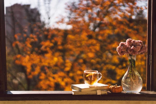 Filiżanka gorącej herbaty i otwarta książka na zabytkowym parapecie. Martwa natura w domu na oknie — Zdjęcie stockowe
