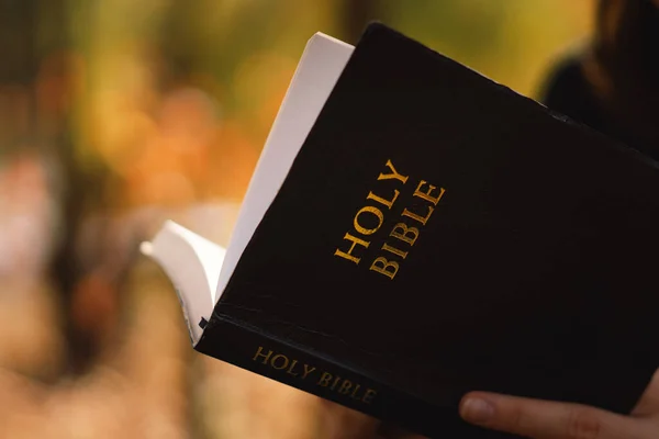 La adolescente cristiana sostiene la biblia en sus manos. Leyendo la Santa Biblia. Concepto de fe — Foto de Stock