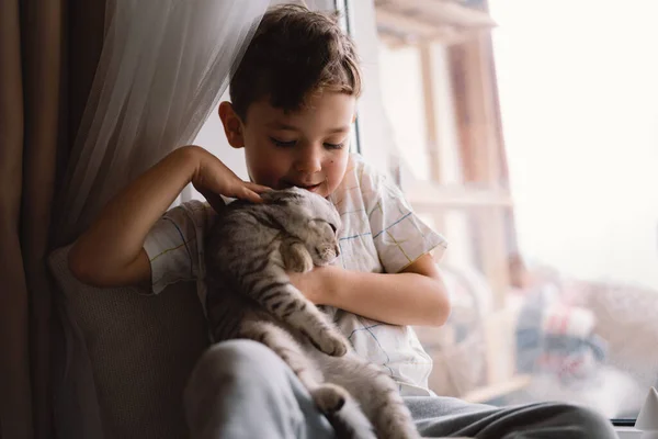 Lindo chico jugando con gatito sentado en el alféizar de la ventana cerca de la ventana. Acogedora casa. —  Fotos de Stock