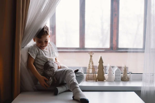 Rapaz bonito brincando com gatinho sentado no peitoril da janela perto da janela. Casa aconchegante. — Fotografia de Stock