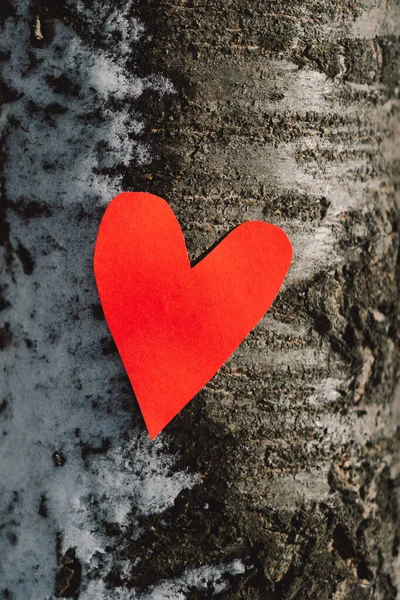 バレンタインデーの愛のメッセージのための雪の木にぶら下がっている赤いハート。愛してるわ. — ストック写真