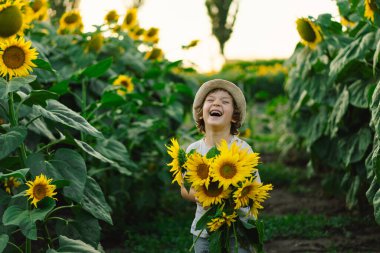 Ayçiçeği tarlasında yürüyen mutlu çocuk. Çocuk büyük çiçeklerle oynuyor ve eğleniyor..