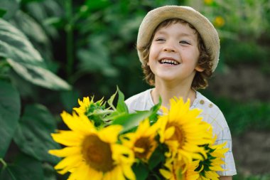 Ayçiçeği tarlasında yürüyen mutlu çocuk. Çocuk büyük çiçeklerle oynuyor ve eğleniyor..