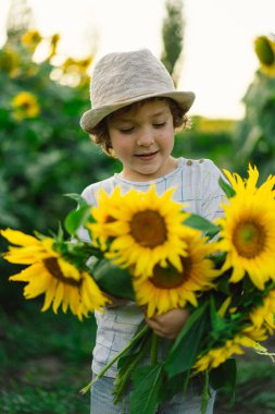Ayçiçeği tarlasında yürüyen mutlu çocuk. Çocuk büyük çiçeklerle oynuyor ve eğleniyor..