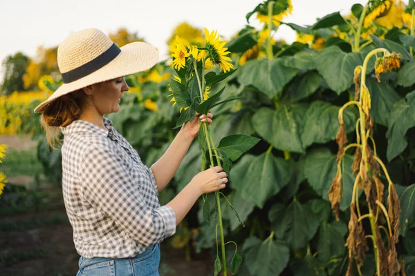 Wanita muda cantik dengan bunga matahari menikmati alam dan tertawa di musim panas bunga matahari. — Stok Foto