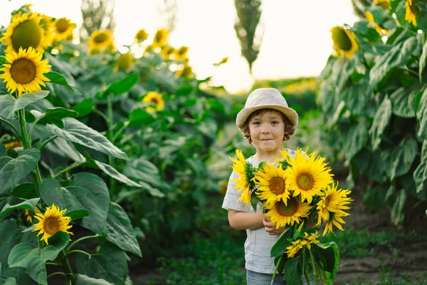 Glücklicher Junge, der in einem Sonnenblumenfeld spaziert. Kind spielt mit großer Blume und hat Spaß. — Stockfoto