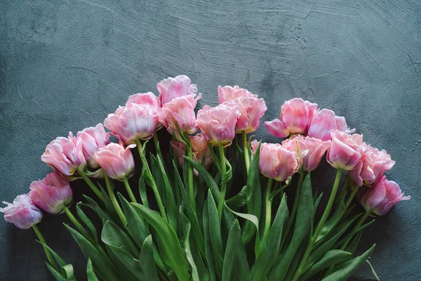 Tulipanes frescos sobre fondo gris. Tarjeta de felicitación con estilo — Foto de Stock