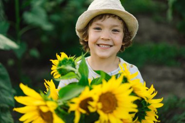 Ayçiçeği tarlasında yürüyen mutlu çocuk. Çocuk büyük çiçeklerle oynuyor ve eğleniyor..