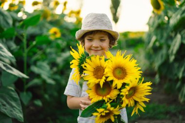 Ayçiçeği tarlasında yürüyen mutlu çocuk. Çocuk büyük çiçeklerle oynuyor ve eğleniyor..