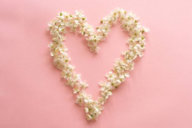 Pembe arka planda izole edilmiş çiçeklerden kusursuz desen.