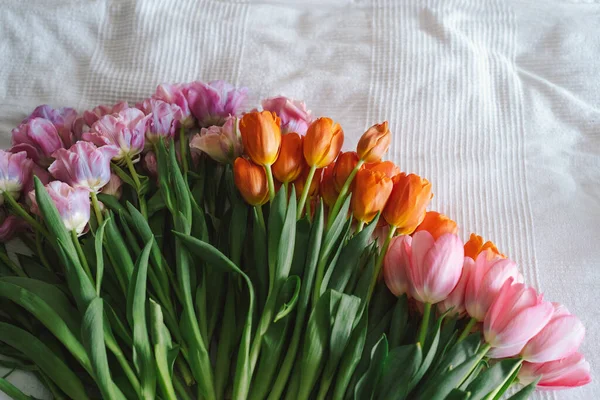 Čerstvé tulipány ležely na bílém pozadí. Stylové přání k pozdravu — Stock fotografie