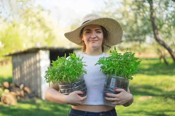 Agronomis wanita memegang bibit dalam pot. Bibit awal tumbuh dari biji dalam kotak di rumah — Stok Foto