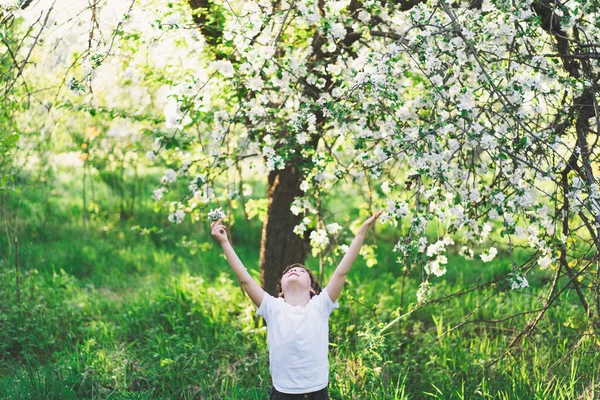 Child playing with branch of an apple treeand having fun. Spring activity for inquisitive children — Stok Foto