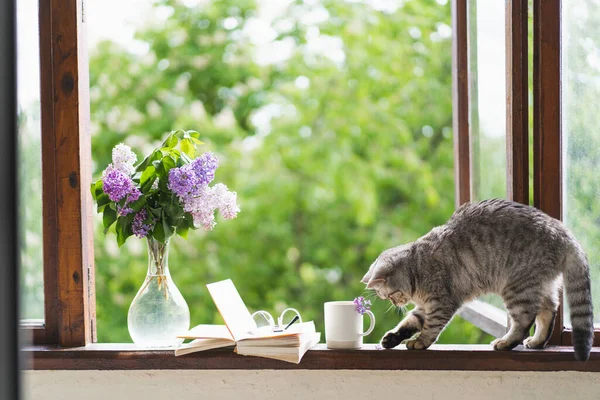 A cat, vase with lilac and open book on a vintage windowsill. Cozy spring concept. — Stock Photo, Image