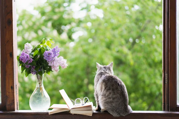 一只猫，装有丁香的花瓶，打开一本关于老式窗台的书。舒适的春天概念. — 图库照片