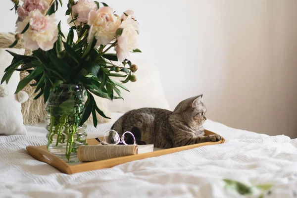 スコットランド直線のかわいい猫と花束の白いピンクの牡丹の花の花瓶 ベッドの上で本を開きます ベッドの上で家の中でまだ生活の詳細 読んで休みなさい 居心地の良い家 — ストック写真