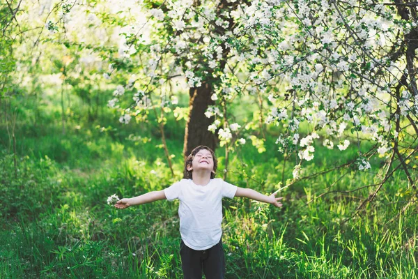Happy Little Boy Walking Spring Garden Child Playing Branch Apple — Stok Foto