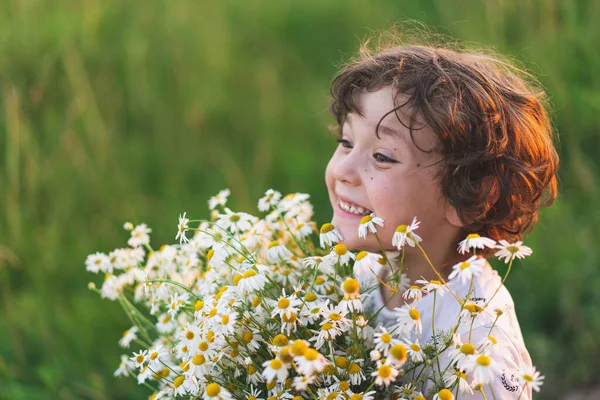 Cute Smiling Boy Camomile Field Sunset Soft Sunlight Life Allergies — Stock Fotó
