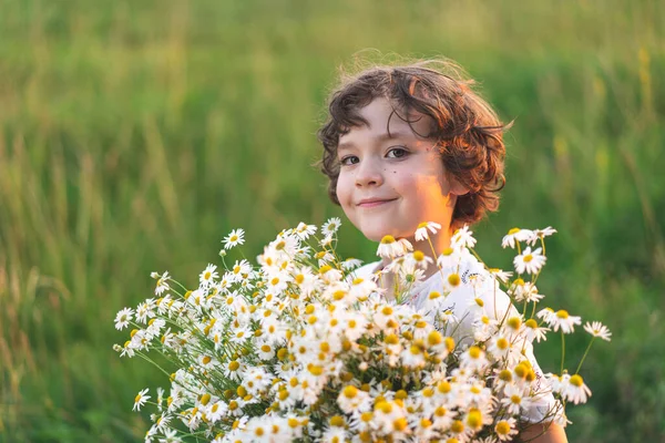 Cute Smiling Boy Camomile Field Sunset Soft Sunlight Life Allergies —  Fotos de Stock